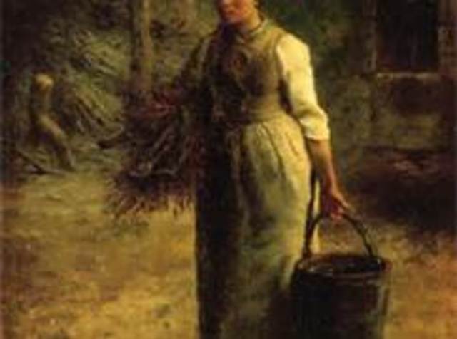 Wood Becomes Main Fuel