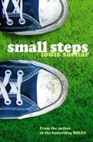 Small Steps By Louis Sache