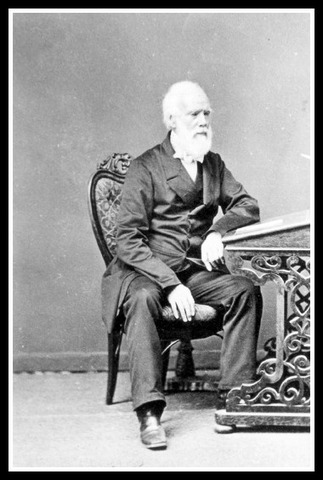 South Australian Company