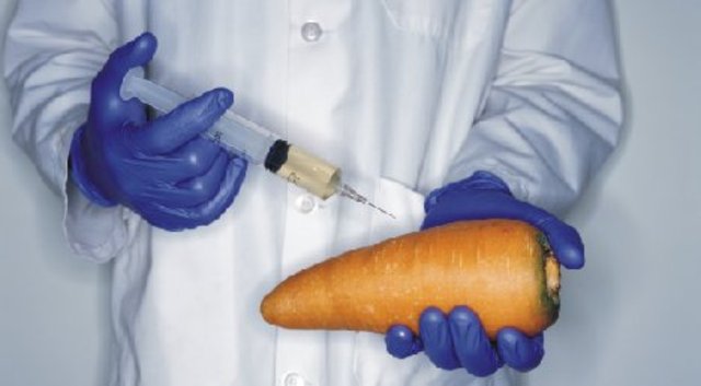 GM foods will be used everywhere