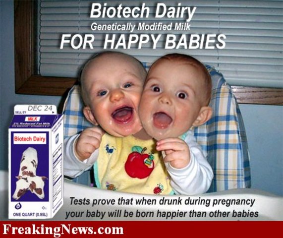 Milk from cows, used for infants?