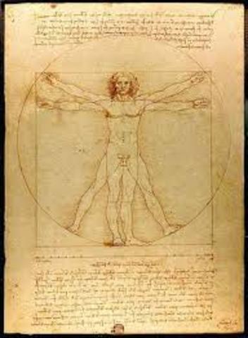 Vitruvian man was made