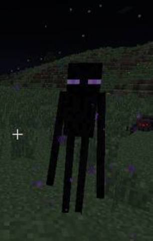 First the enderman spwans.