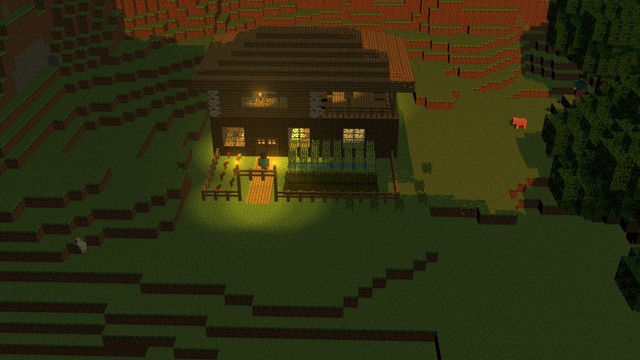 Steve builds a house