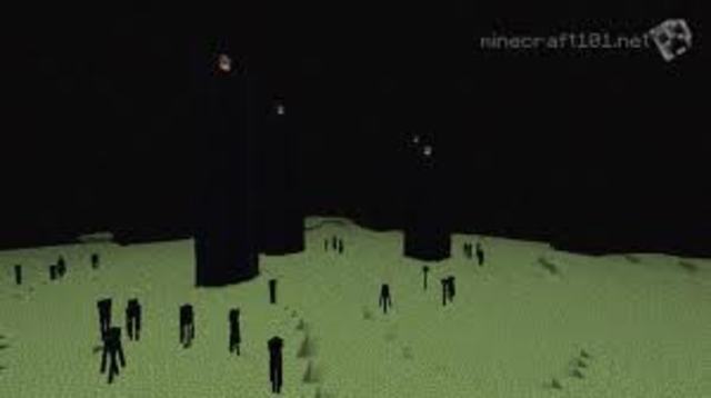 Steve visits the End