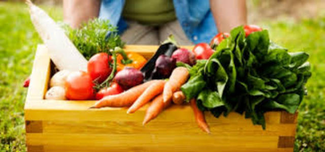 Grow my own produce in my garden