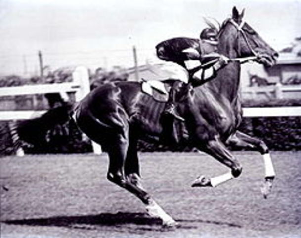 Phar lap wins the Melbourne Cup