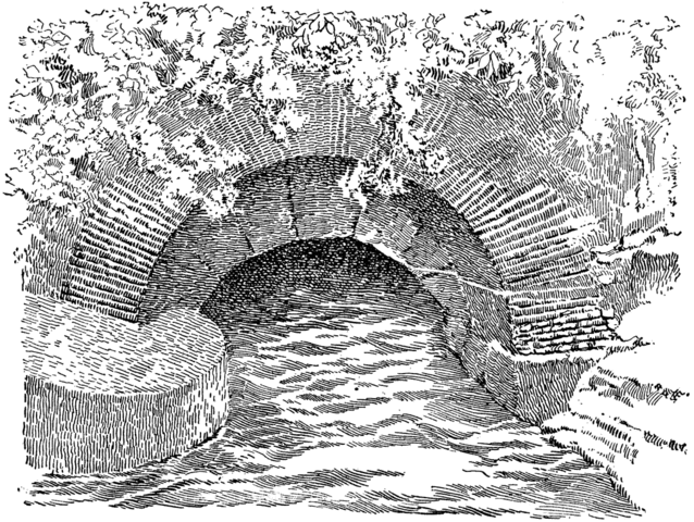 Development of Sewage system