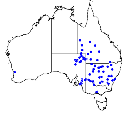 Australia's Second Anniversary