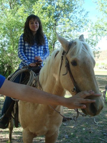 Adulthood: Biosocial Development