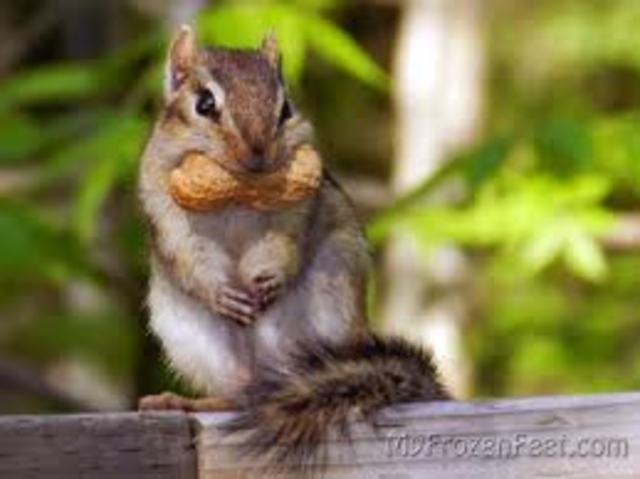 Began my career as a part time sales associate at #39