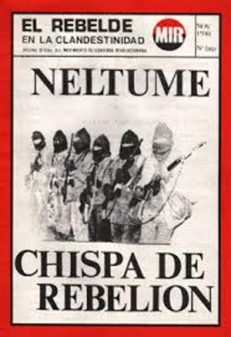 Guerrilla en Neltume