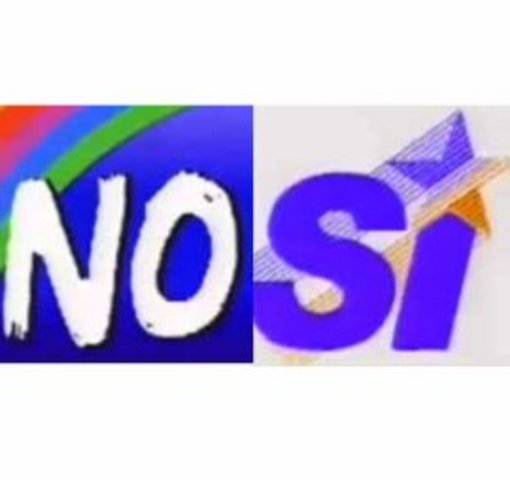 Plebisicto y triunfo del NO