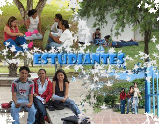 Líneas de acción del MECD