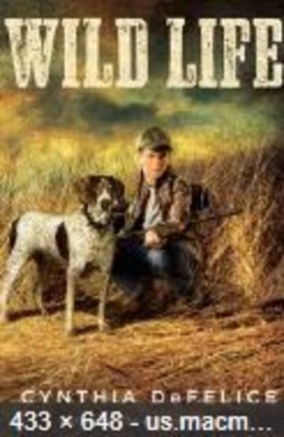 Finding Family, by Cynthia DeFelice