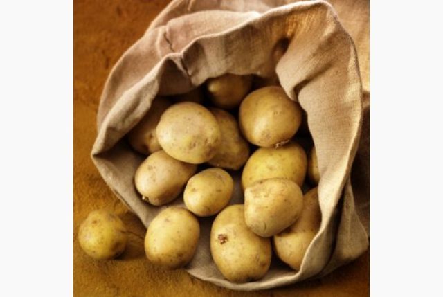 Major change in crops being planted