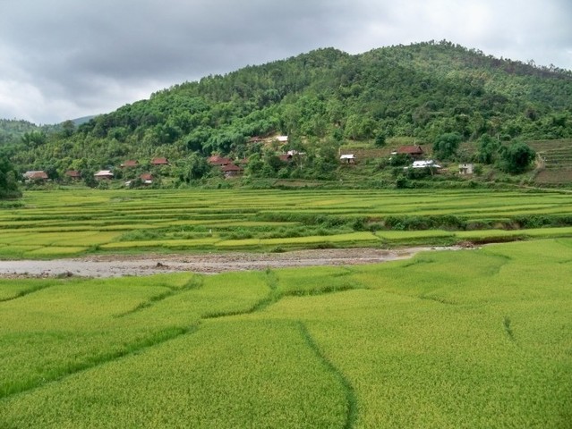 VIETNAM