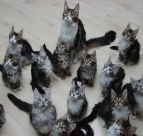 sox meets her family