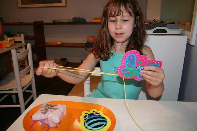 Curriculum Training in Practice Life