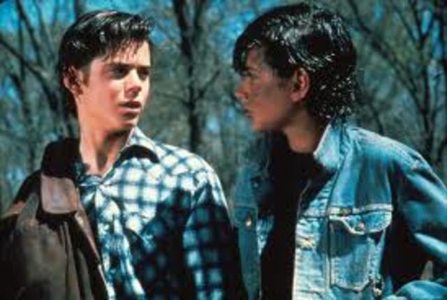 Ponyboy and Johnny hid them from polices (2)