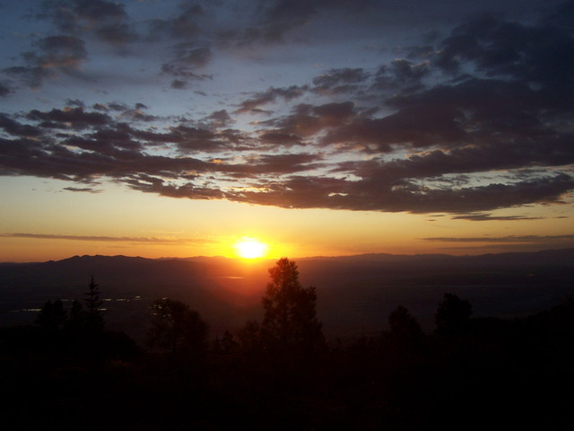 Nothing Gold Can Stay (First)