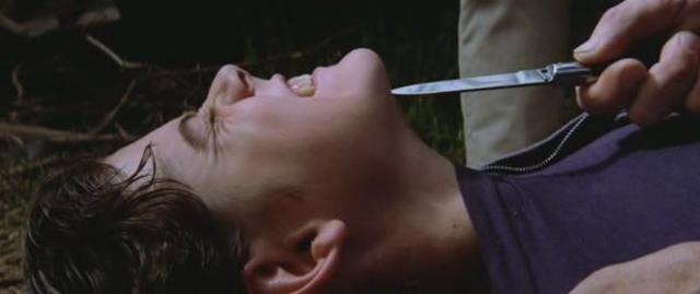 The importance   (1)