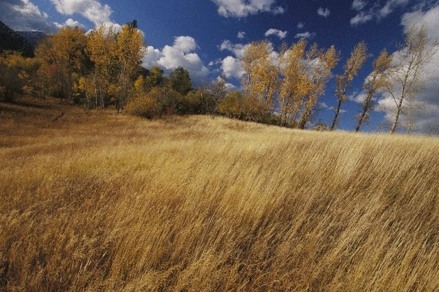 The Corps begins their journey home
