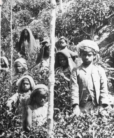 President Lincoln Prohibits the "Coolie Trade"