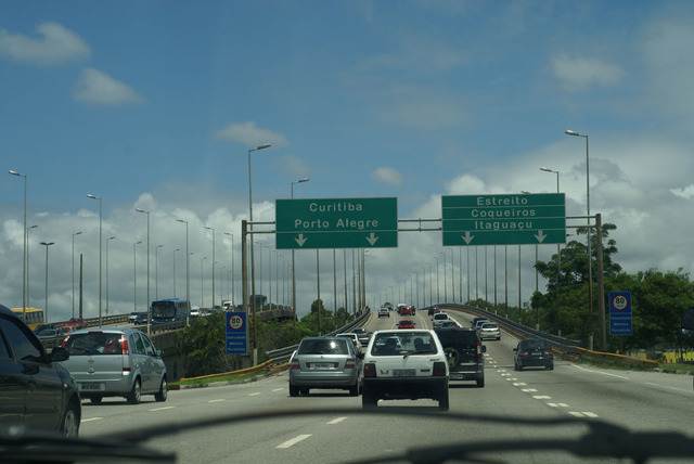 Vacas en Florianopolis - Brasil