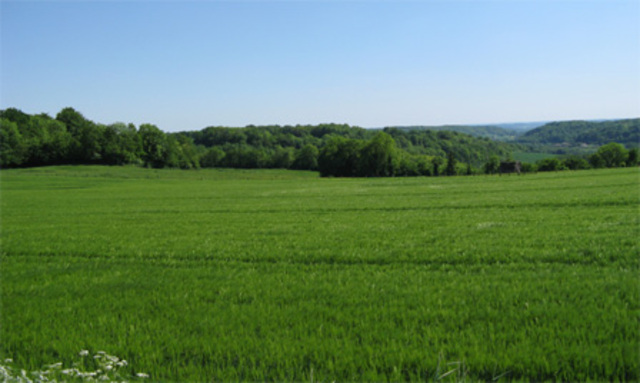 Le 6 avril 1917, le président Woodrow Wilson déclare la guerre à l'Allemagne. Avec l'entrée des États-Unis dans la Grande Guerre, celle-ci prend un caractère non plus européen mais mondial.André LaranéGuerre sous-marine à rebondissementPendant trente mois