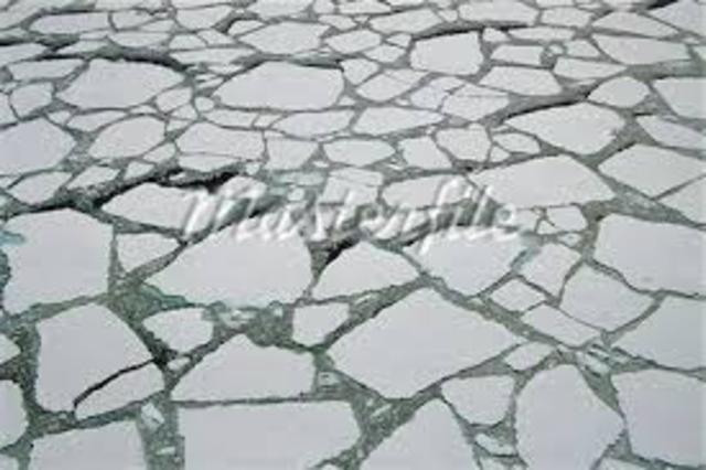 shackeltons journey began