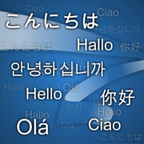 Foreign Language Search