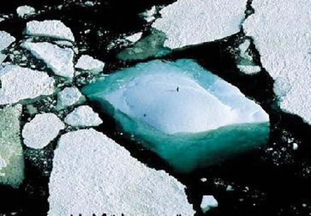 1 Conferencia y Cambio Climatoco, Djerba, Tunez