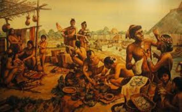 Native Cultures in America