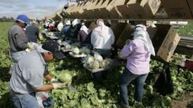 State Employer Sanctions Law