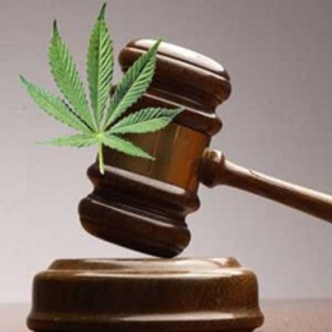 US Appeals Court Denies Medical Marijuana Reclassification Challenge