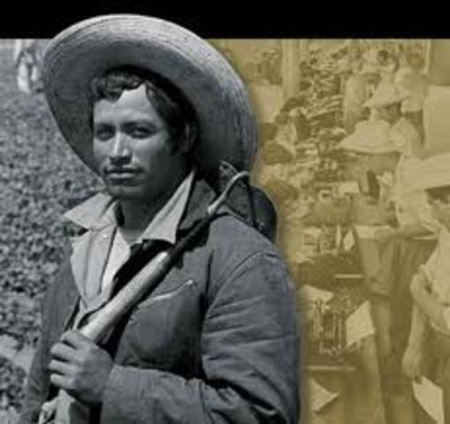 Bracero Program