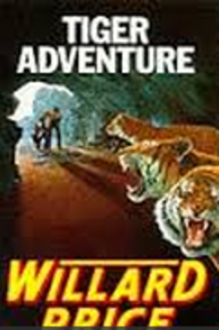 Tiger Adventure