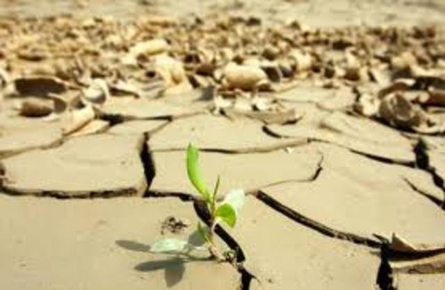 Primera conferencia del cambio climatico