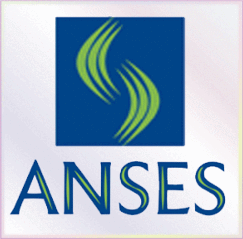 Director Ejecutivo de ANSeS