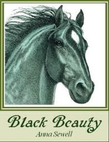 Black Beauty