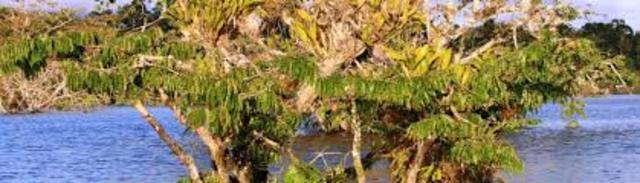 II Conferencia de Cambio Climatico y Turismo