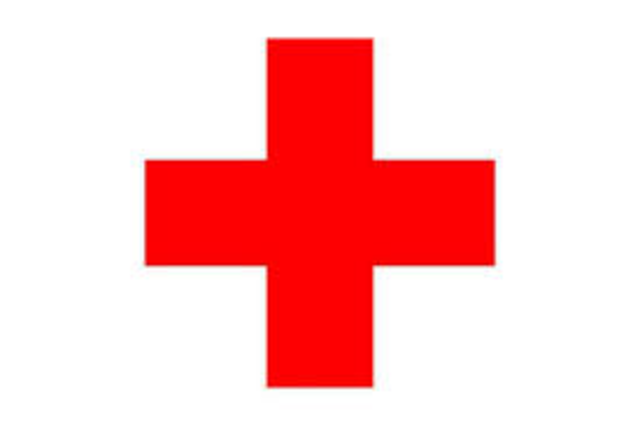 Wilfred Owen was diagnosed with shell shock