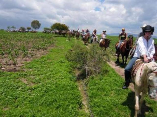Declaracion de Davos, Suiza