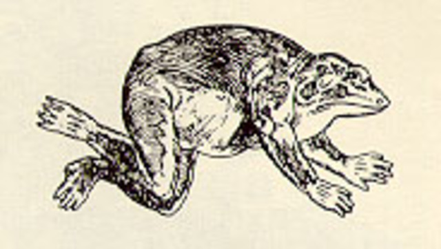 The Celebrated Jumping Frog of Calaveras County was published