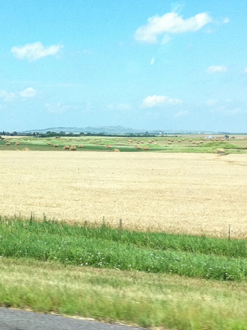 Mom and the girls moved to Minot, ND