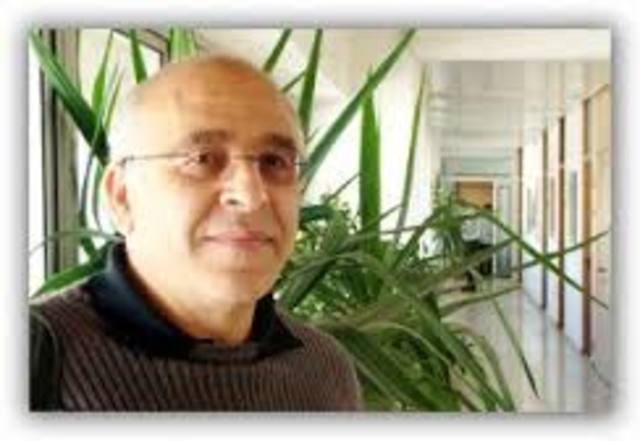 גיבוש מדיניות