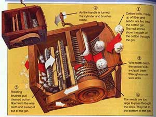 Eli Whitney Invents the Cotton Gin (S)