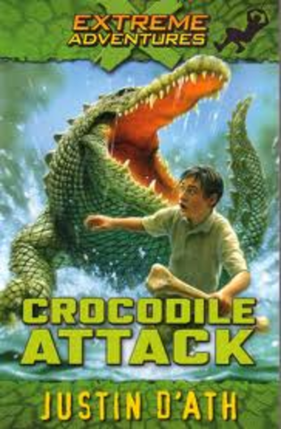 Crocodile attack