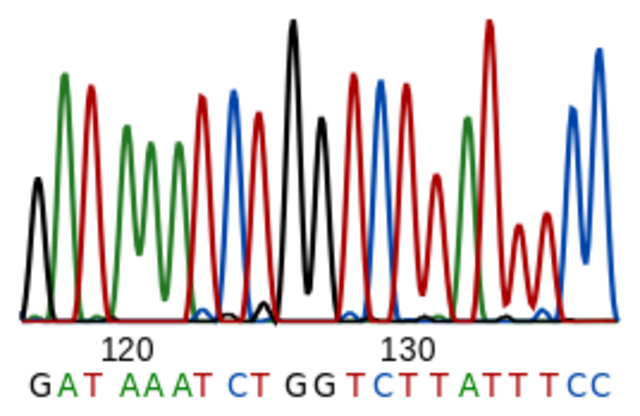 Seqüenciació del primer microorganisme